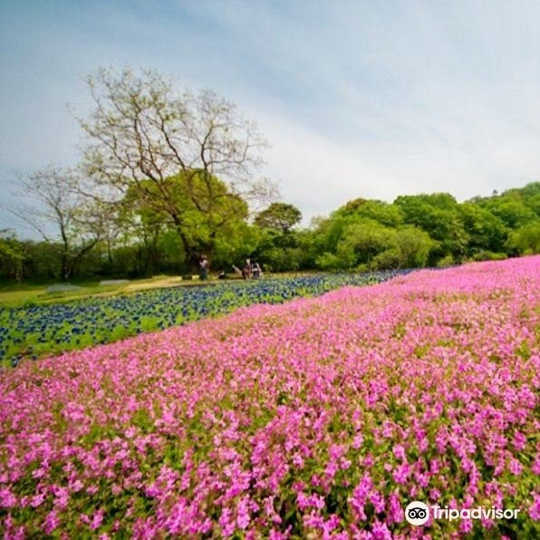 🌸 노베오카 식물원 (노베오카 쇼쿠부츠엔) 이미지 5